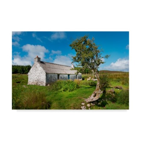Trademark Fine Art Philippe Sainte-Laudy 'Imaginary' Canvas Art, 22x32 ALI44246-C2232GG
